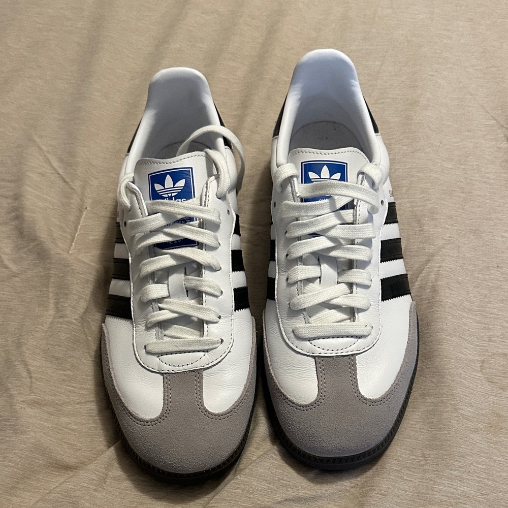 Adidas White and Gray Sneakers with Blue Logo